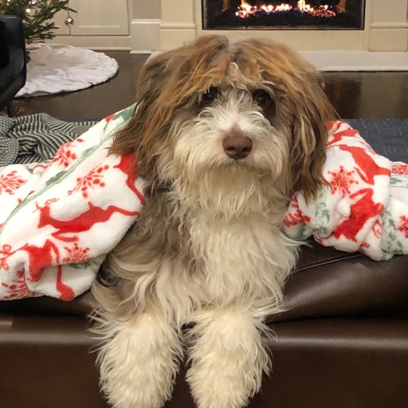 Meet your Posher, Stefanie - Picture 1 of 1